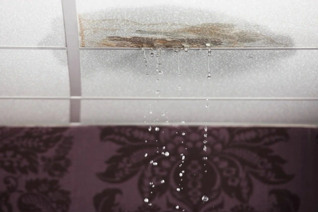 Leaks, flooding or water damage
